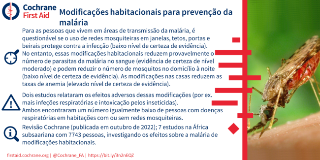 Portuguese blogshot house modifications 2023